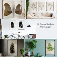 Barloga Studios’ Murex Study - Pink Murex photo art with stylish hangers, perfect for modern homes.