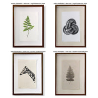 Barloga Studios’ Murex Study: Pink Murex photography art print in your choice of size and style.