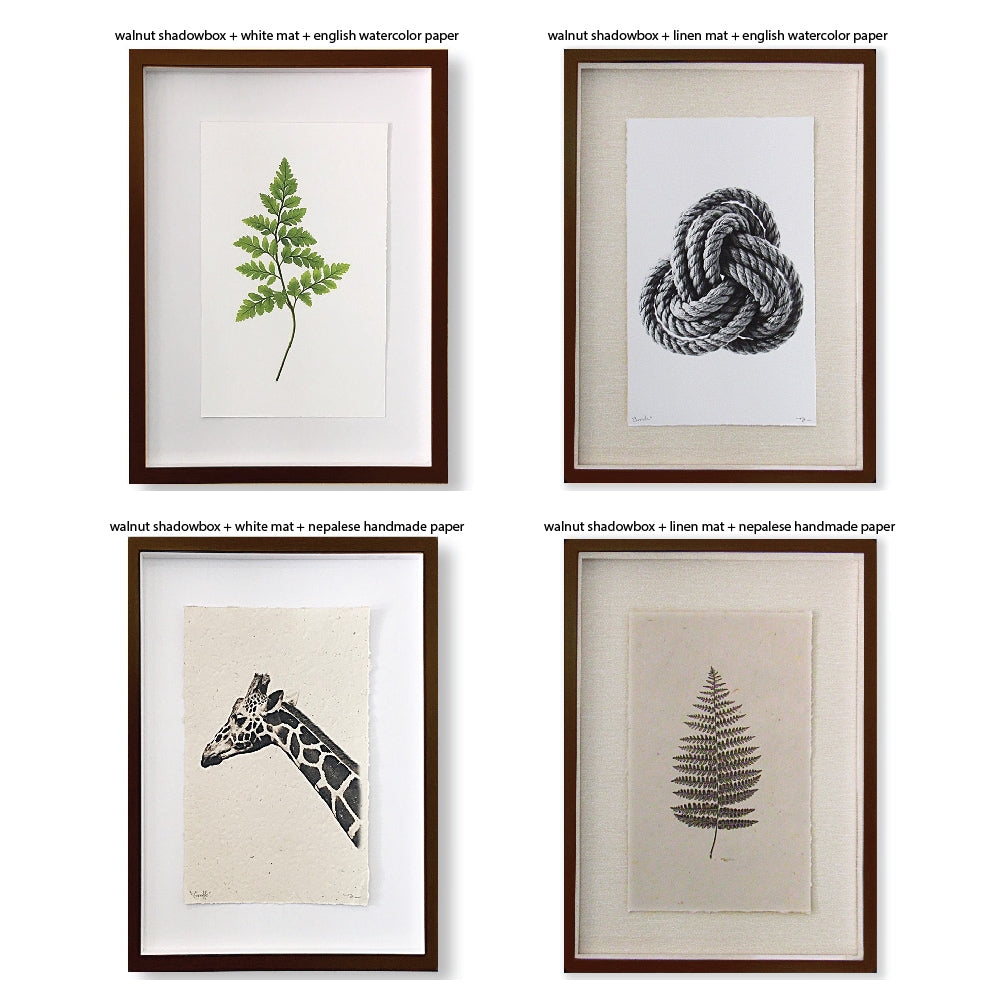 Four artworks: green fern, rope knot, giraffe head, brown fern leaf in archival wood frames with various mats by Barloga Studios.