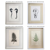 Barloga Studios’ Murex Study: Pink Murex Photography Art, framed in archival-quality shadow box (size/style options).