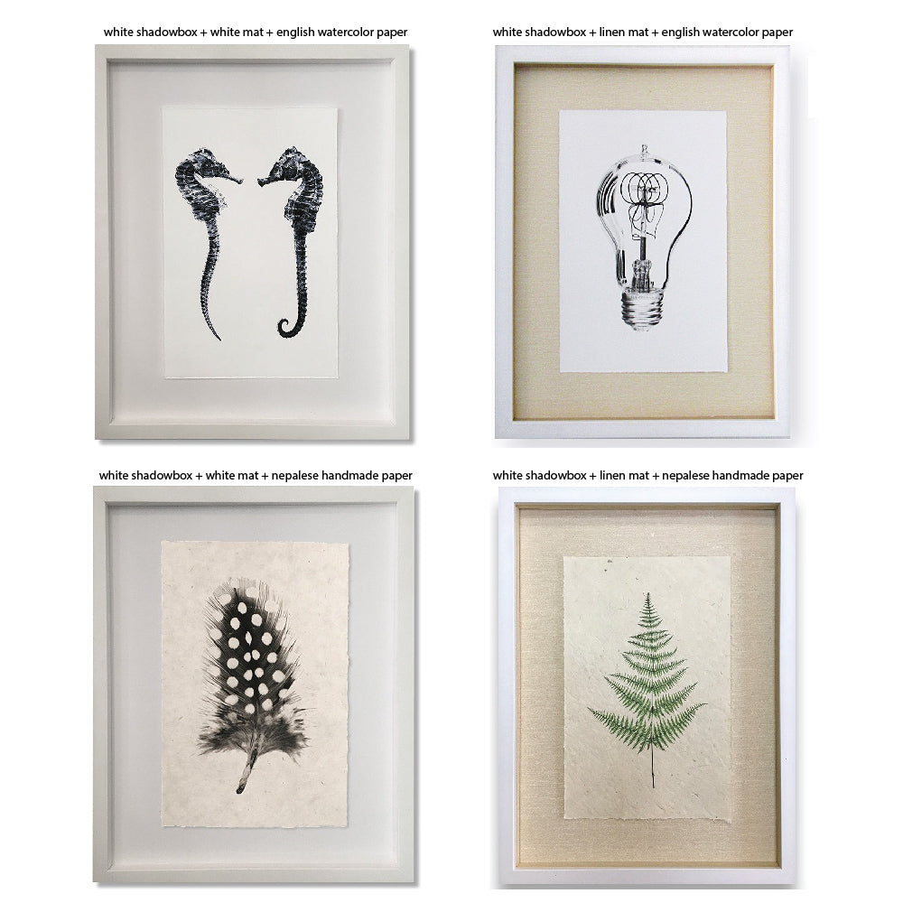 Barloga Studios' Collective Hydrangeas features artwork of seahorses, a lightbulb plant, feathers, and ferns on varied mats.