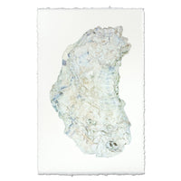 photography handmade paper oyster coastal decor wall art