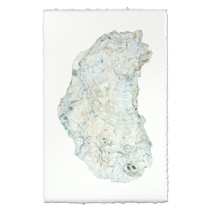 photography handmade paper oyster coastal decor wall art