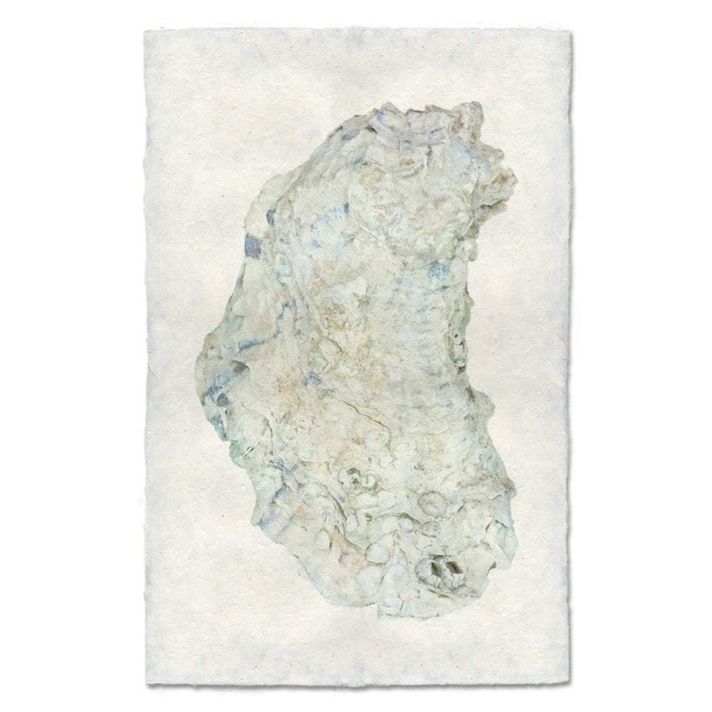 photography handmade paper oyster coastal decor wall art