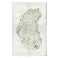 photography handmade paper oyster coastal decor wall art