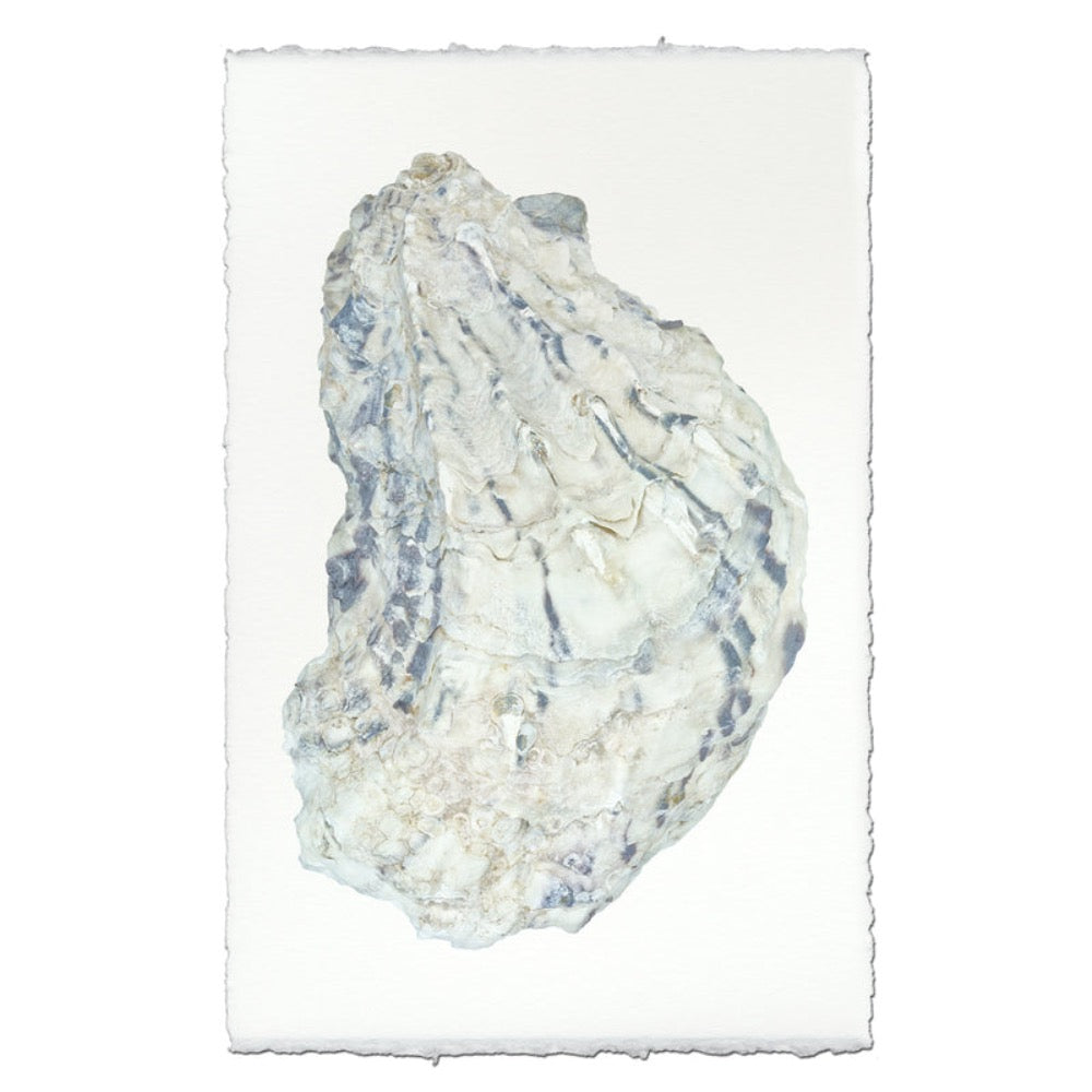 photography handmade paper oyster coastal decor wall art