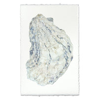 photography handmade paper oyster coastal decor wall art
