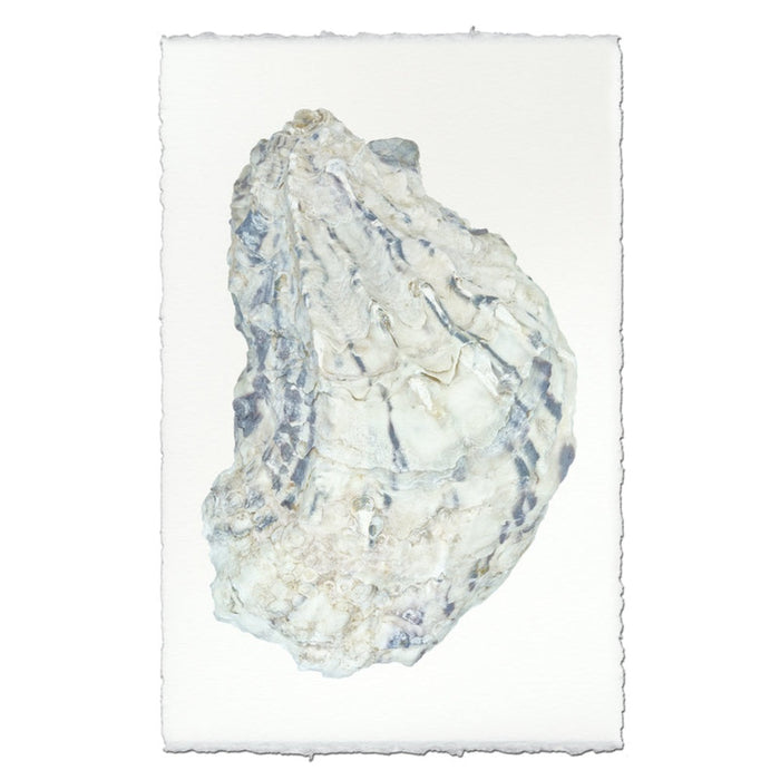photography handmade paper oyster coastal decor wall art
