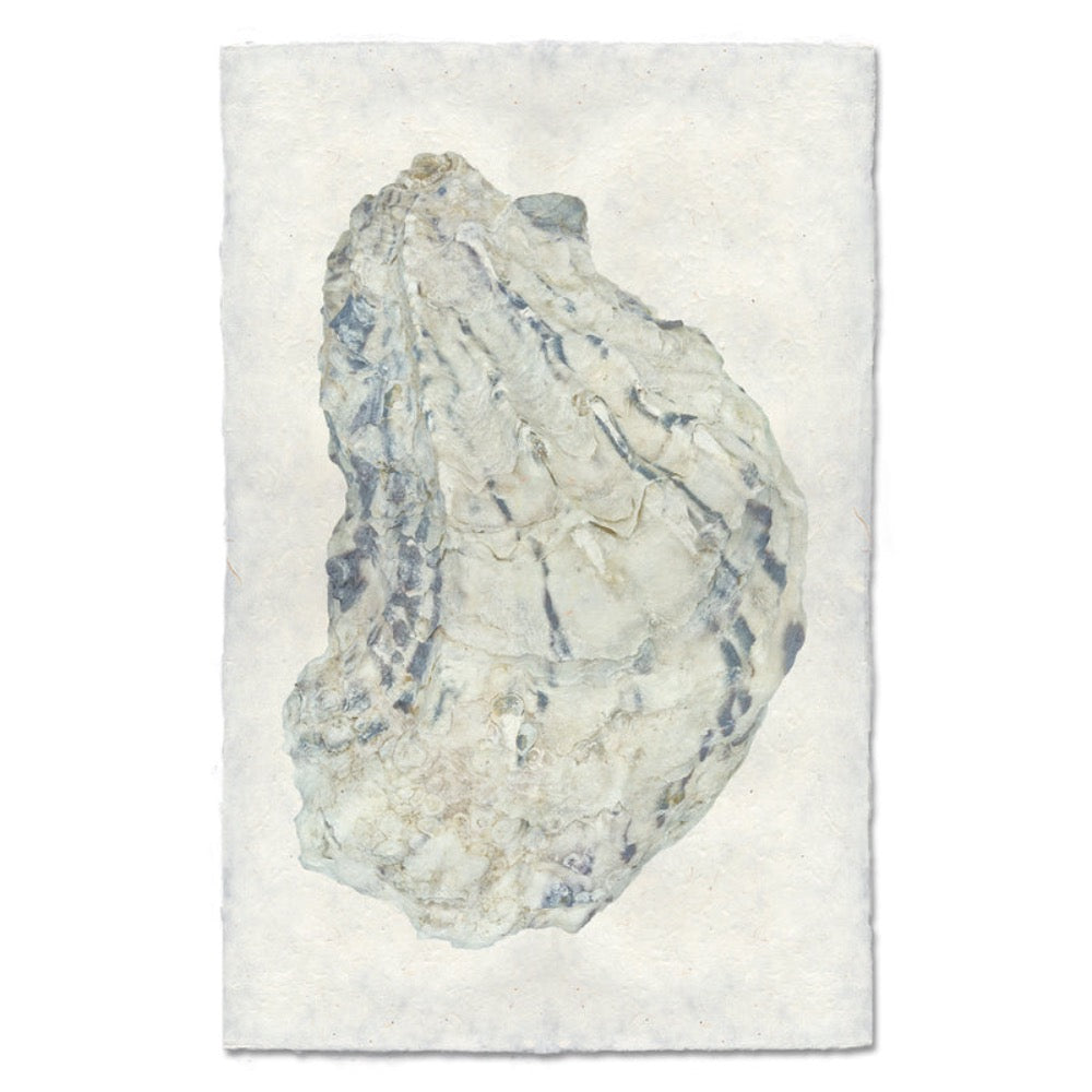 photography handmade paper oyster coastal decor wall art