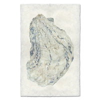 photography handmade paper oyster coastal decor wall art
