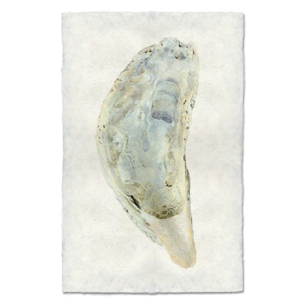 photography handmade paper oyster coastal decor wall art