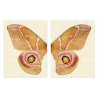 butterfly papilionoidea photography large yellow handmade paper