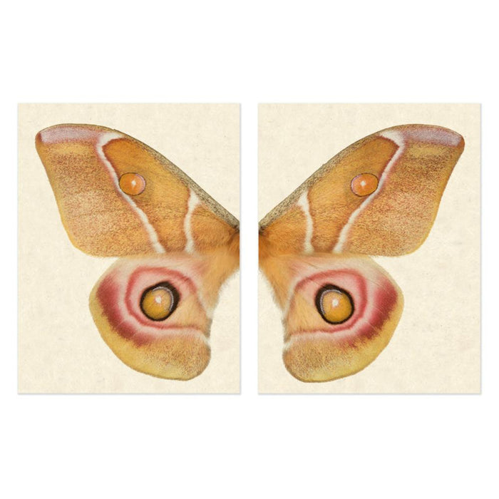 butterfly papilionoidea photography large yellow handmade paper