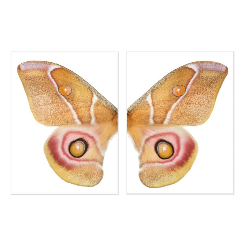 butterfly papilionoidea photography large yellow handmade paper