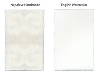 Barloga Studios’ Murex Study: Pink Murex photo art, size/style options, on handmade & watercolor paper with deckled edges.