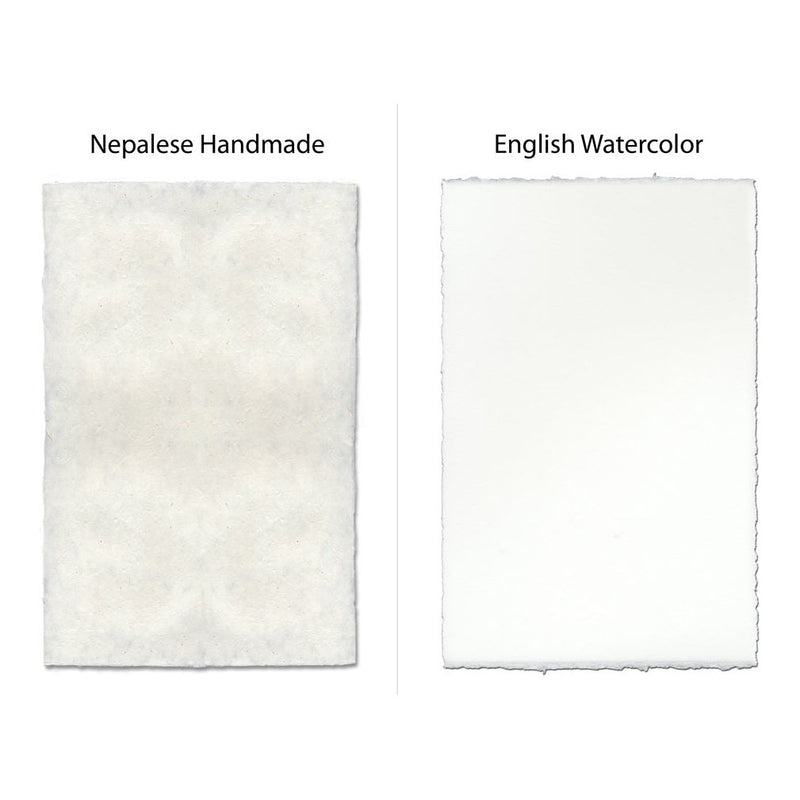 Side-by-side comparison of Barloga Studios' Collective Succulents Photography Art on Nepalese handmade paper on the left and English watercolor paper on the right, showcasing different framing options.