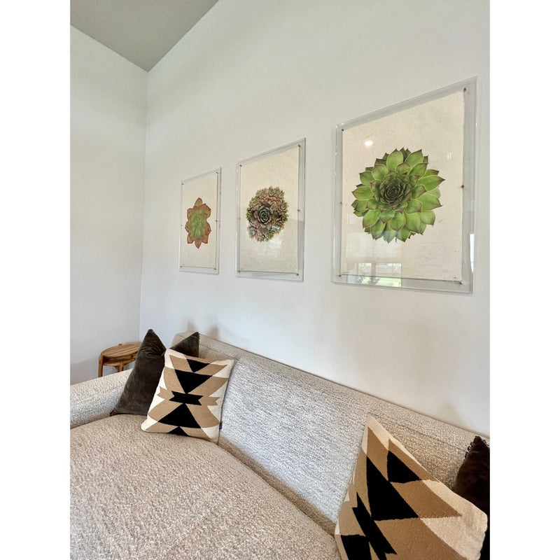 succulent wall art framed