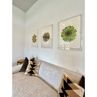 Cozy living room featuring a sofa adorned with two patterned cushions, complemented by three pieces of Barloga Studios' 'Succulent 2, S. Mahogany Photography Art' framed in archival wood on a pristine white wall.