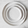 spec dinner plates set white gray round ceramic
