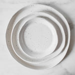 spec dinner plates set white gray round ceramic