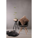 Modern chair with an Auskin Longwool Sheepskin Pillow, a plant on a stool, a fur rug, and books against a gray wall setup.