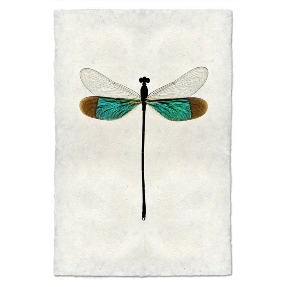 photography handmade paper damsel turquoise wall art