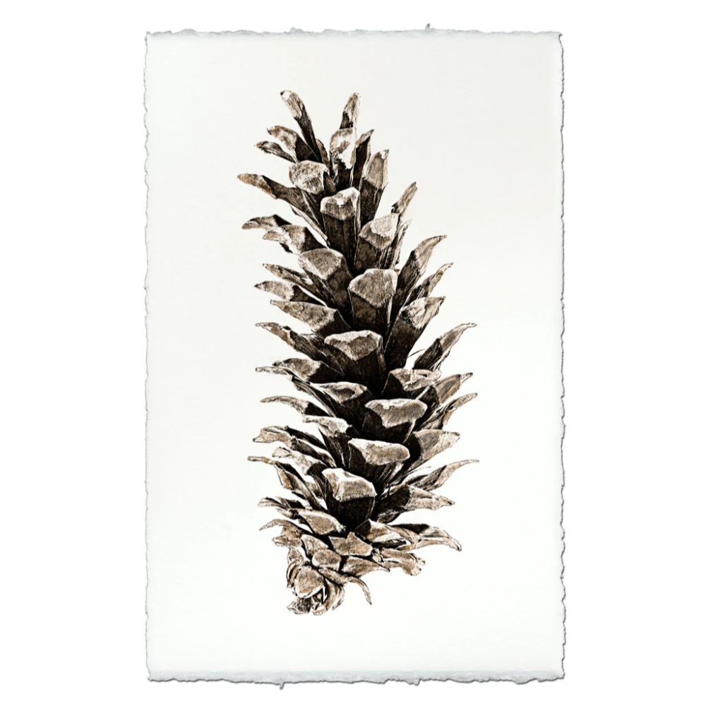photography handmade paper pinecone natural wall art