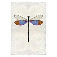 photography handmade paper damsel blue wall art