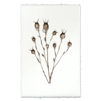 photography bulb plant handmade paper