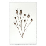 photography bulb plant handmade paper