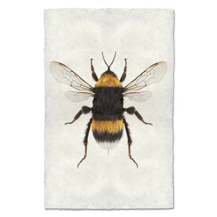 Art print with a bee design on a white background