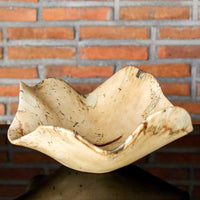 natural decor raw wood bowl organic