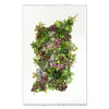 The "Collective Succulents Photography Art (size + style options)" by Barloga Studios features a stunning vertical arrangement of various succulent plants against a white background, resembling the shape of a leaf, with elegant framing options.
