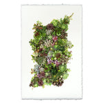 The "Collective Succulents Photography Art (size + style options)" by Barloga Studios features a stunning vertical arrangement of various succulent plants against a white background, resembling the shape of a leaf, with elegant framing options.