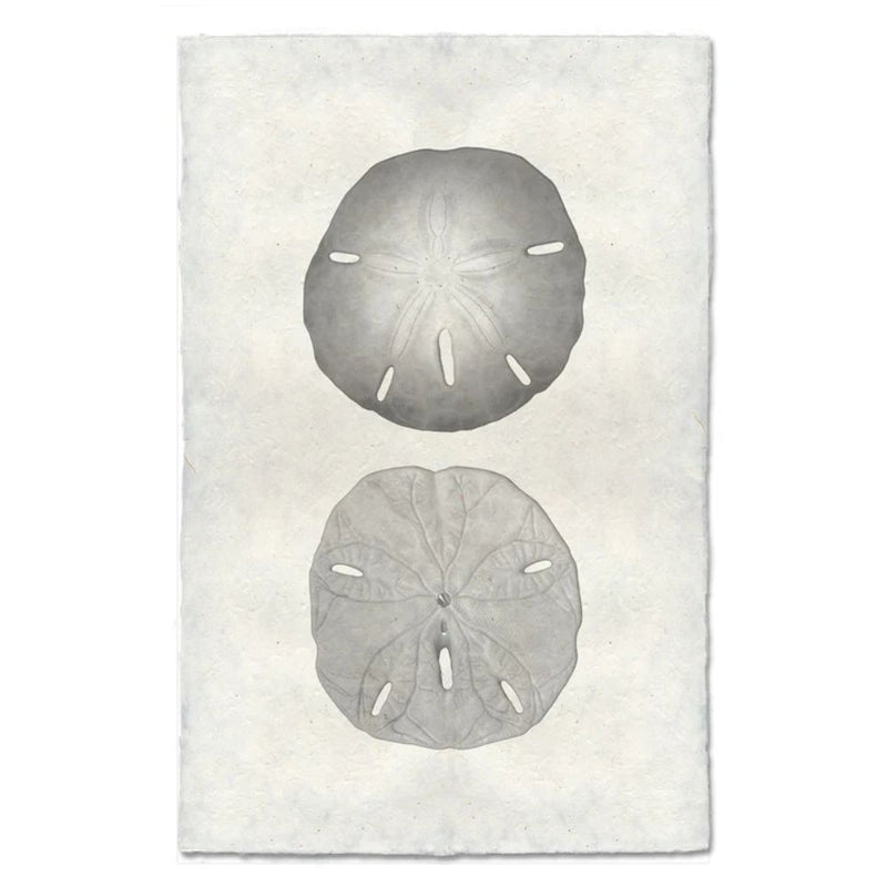 photography art handmade sand dollar two black and white