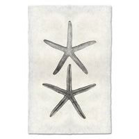 photography art handmade paper starfish two black and white