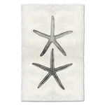 photography art handmade paper starfish two black and white
