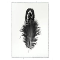 black white feather handmade paper