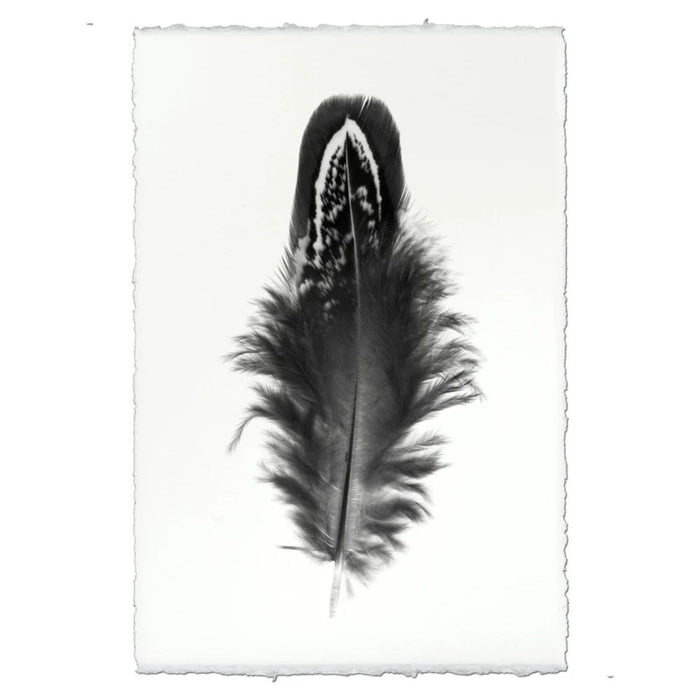 black white feather handmade paper