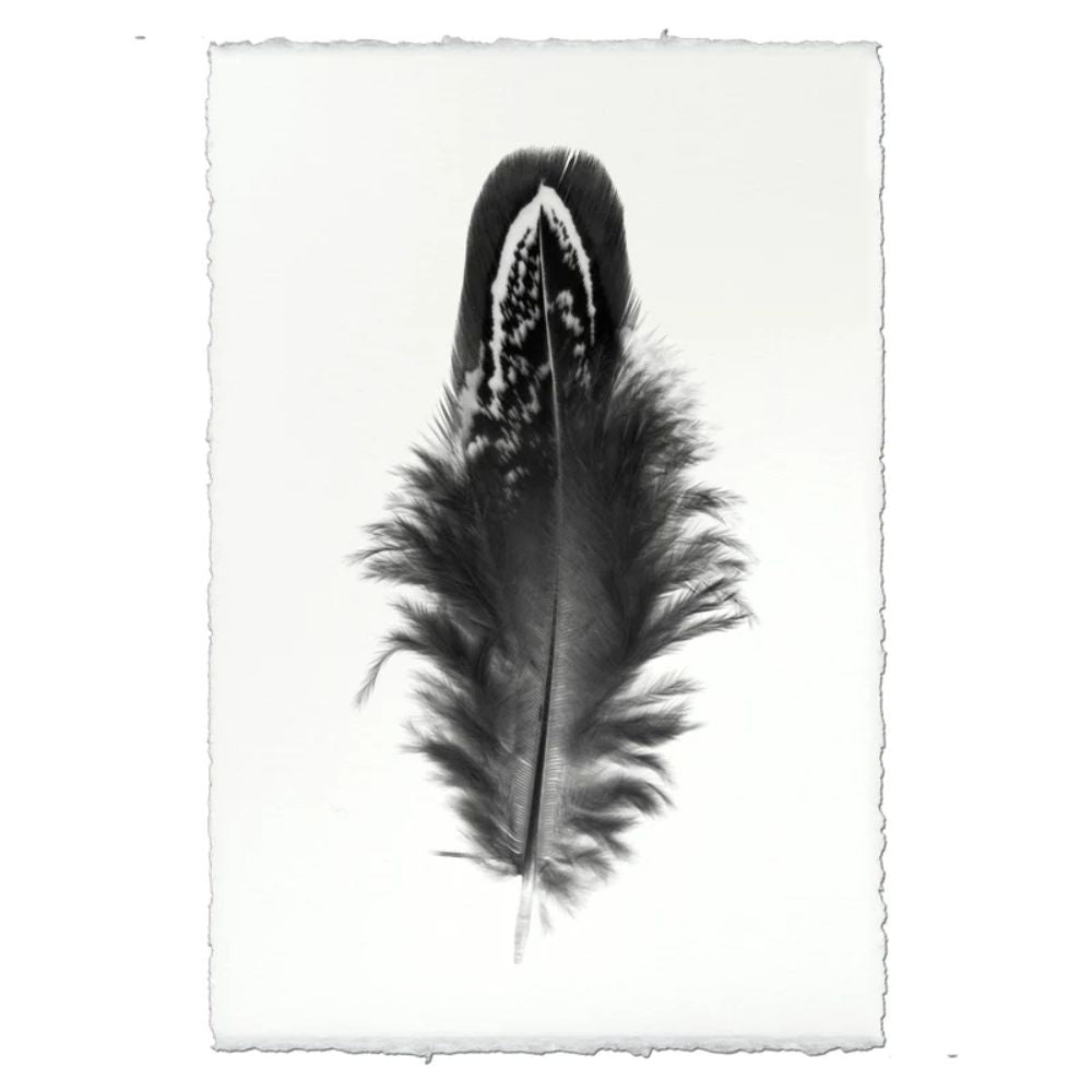 black white feather handmade paper