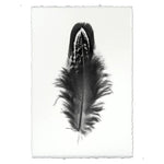 black white feather handmade paper
