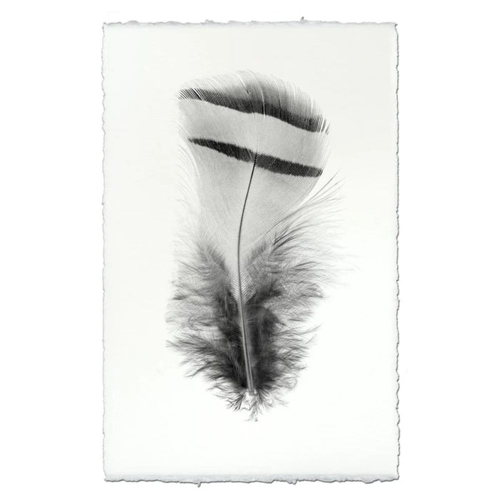 black white feather handmade paper