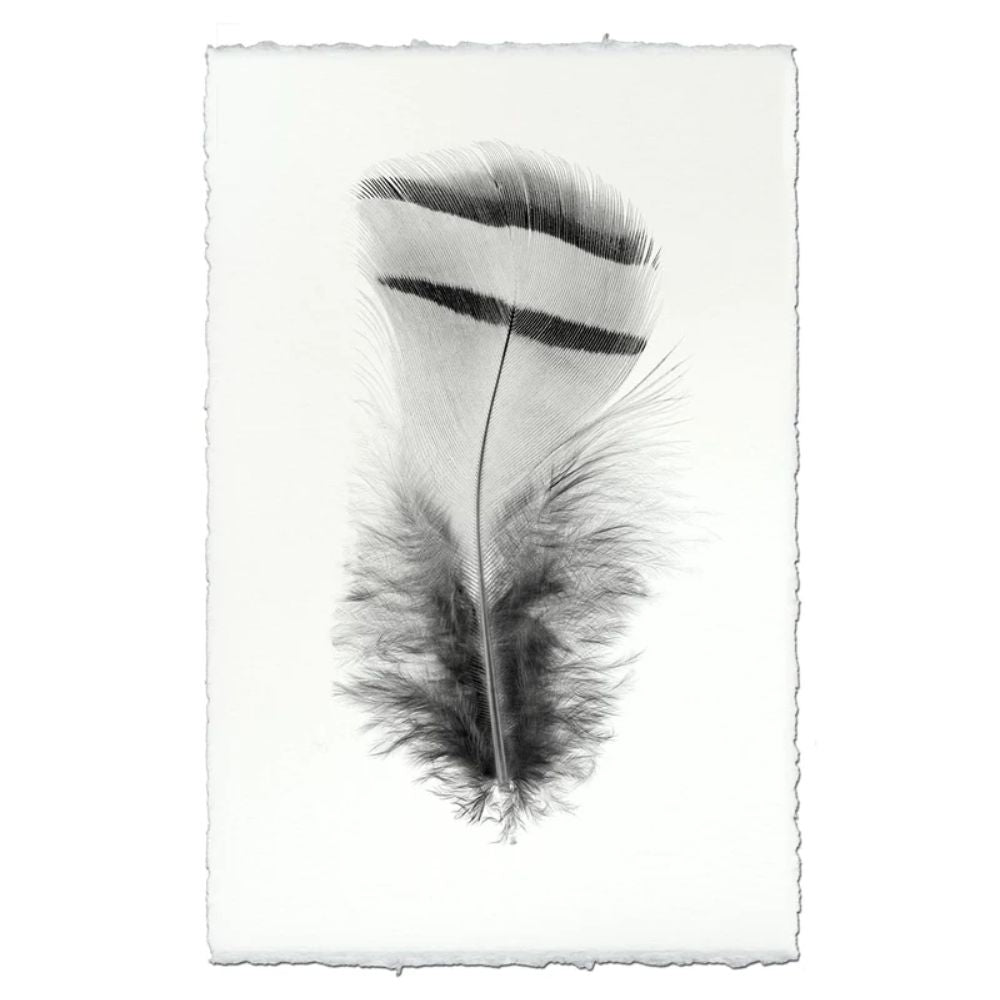 black white feather handmade paper