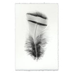 black white feather handmade paper