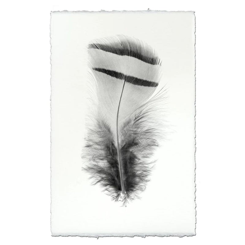 black white feather handmade paper