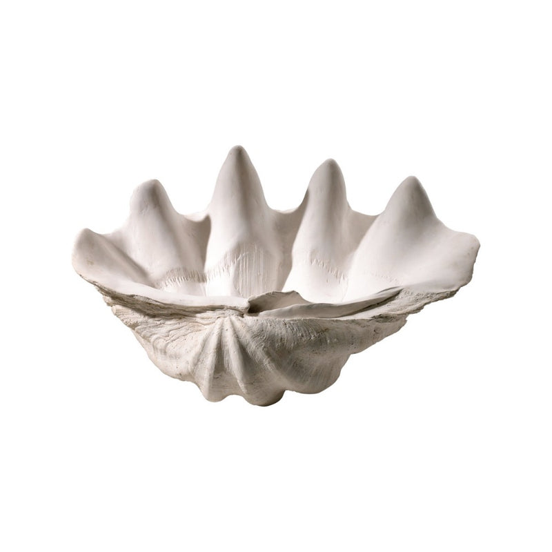 large white plaster clam shell