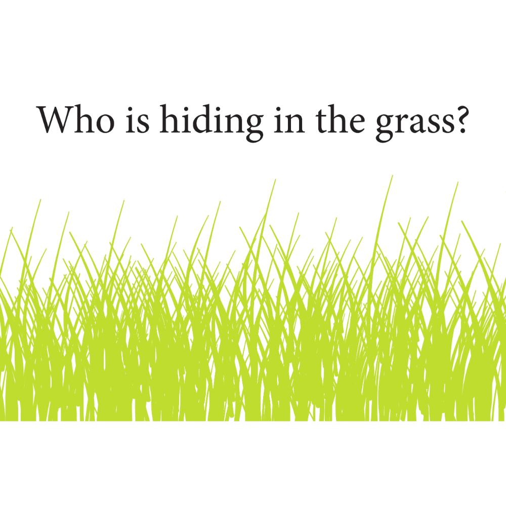 BSEID Children's Coloring Paper Placemat Pad features "Who is hiding in the grass?" above tall green grass.