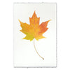 photography handmade paper maple leaf nature wall art