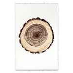 paper print wall art framed nature organic oak tree