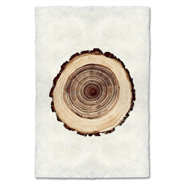 paper print wall art framed nature organic oak tree